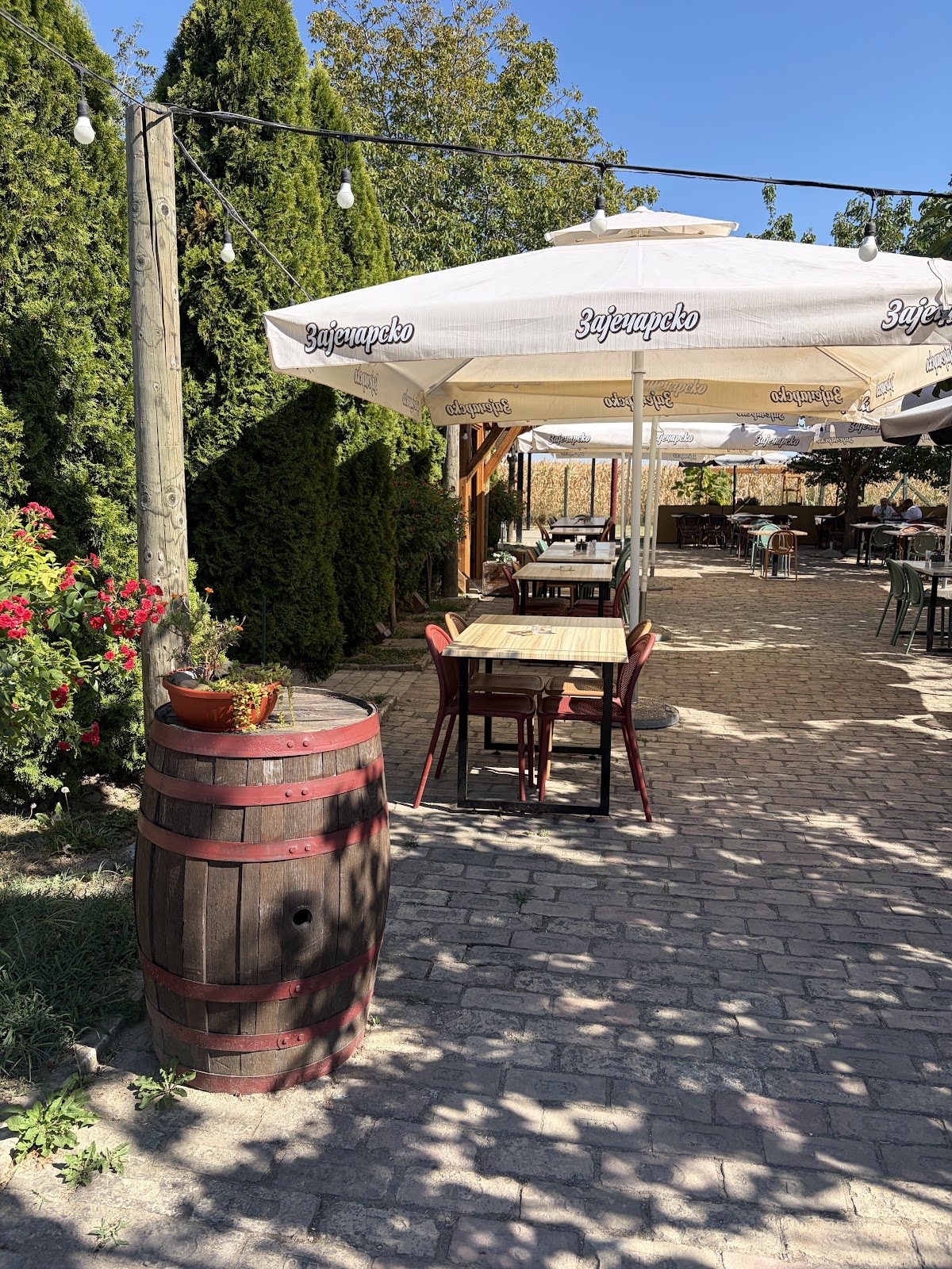 Vojvođanski Salaš - Restorani u Novom Sadu