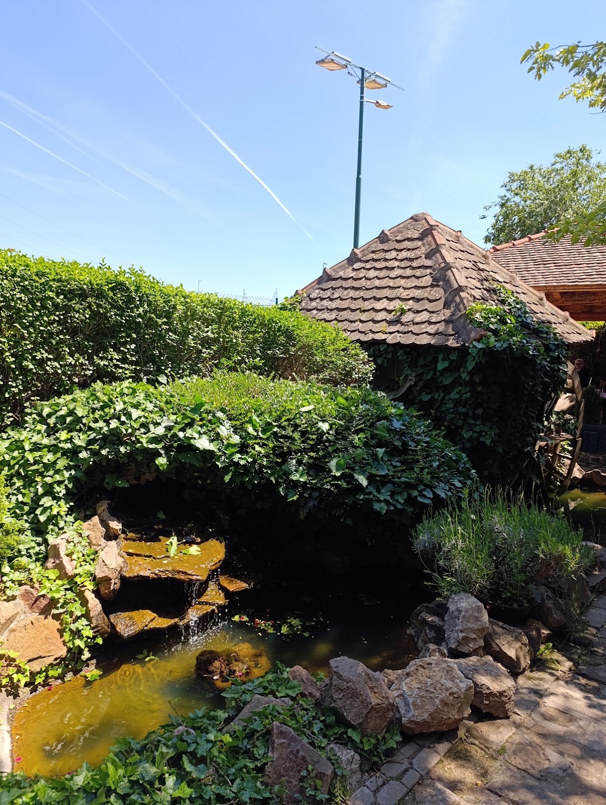 Petlov Salaš - Restoran i prenoćište - Restorani u Novom Sadu