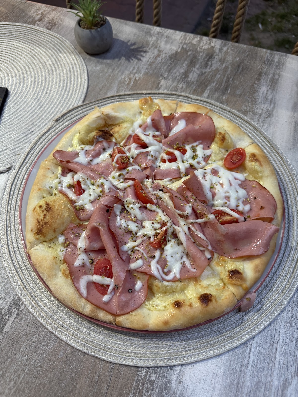 Oliva Verde - Restorani u Novom Sadu