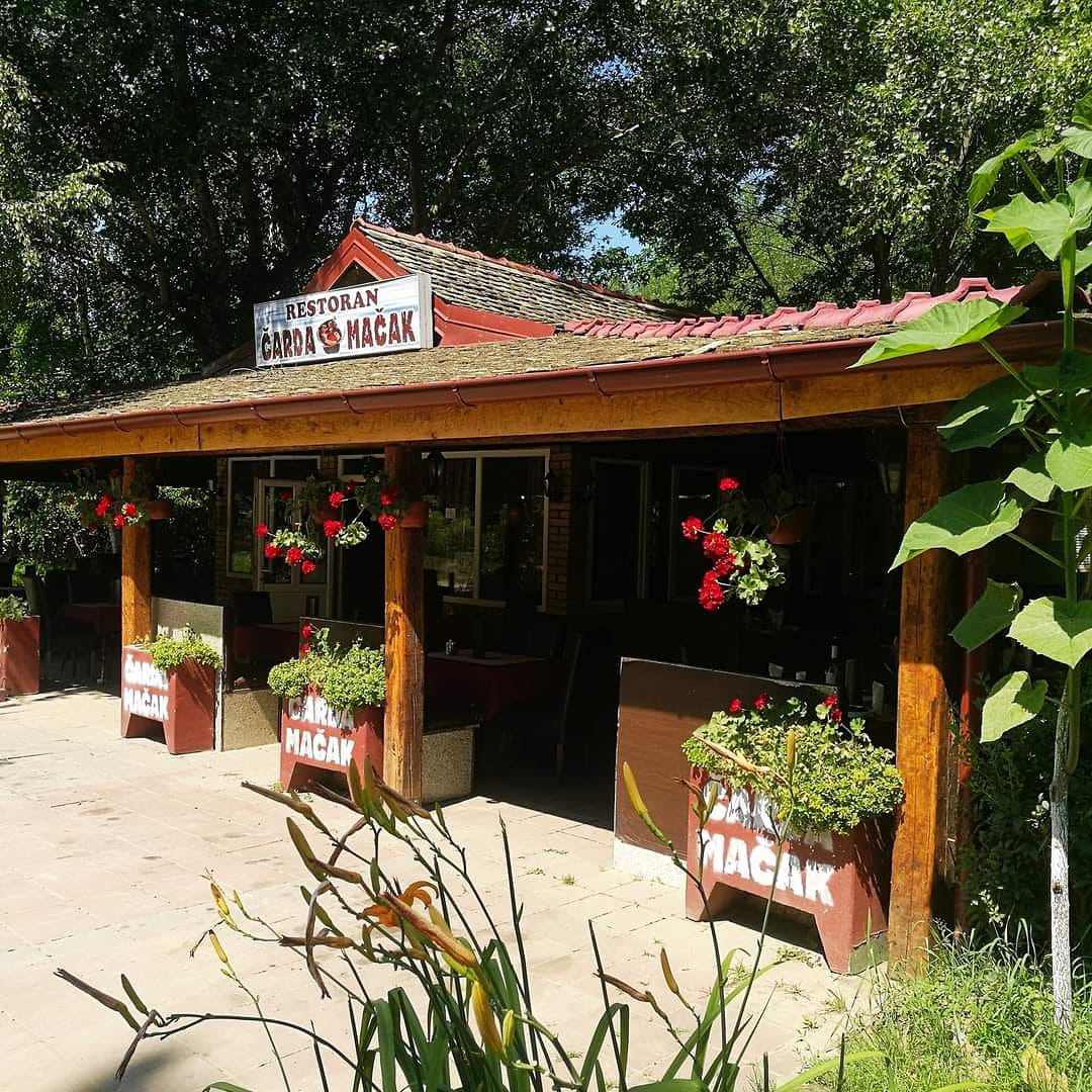 Riblji restoran Novi Sad Čarda Mačak - Restorani u Novom Sadu