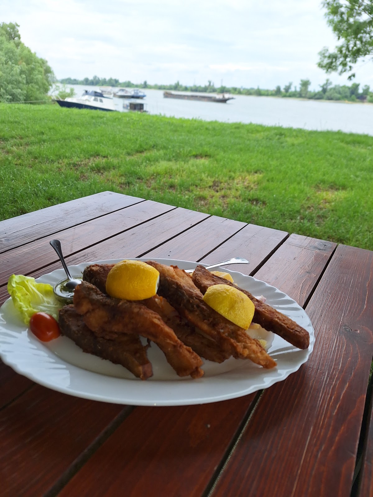 Restoran Čarda Šaran 1953 i Udruženje sportskih ribolovaca Šaran - Restorani u Novom Sadu