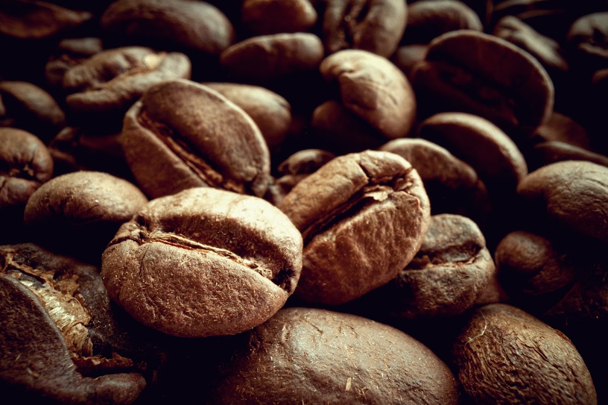 FREESHKA COFFEE Co. - Kafići u Novom Sadu