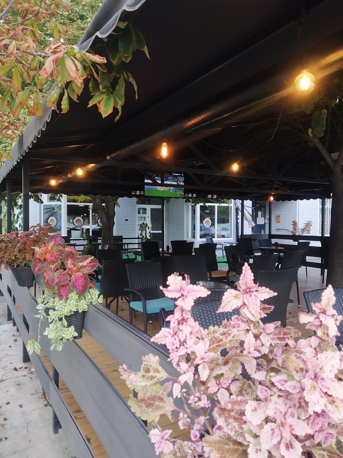 Caffe Fargo - Kafići u Novom Sadu