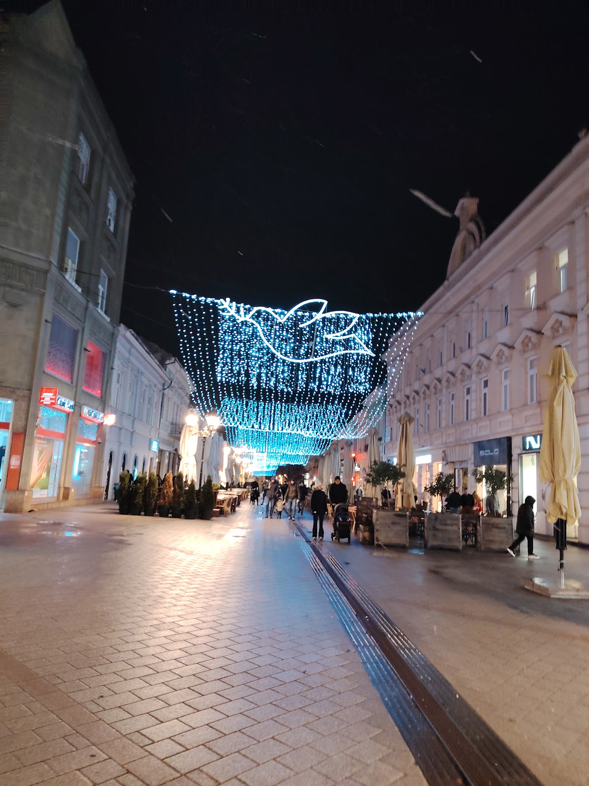 Pab Mamurni ljudi - Kafići u Novom Sadu