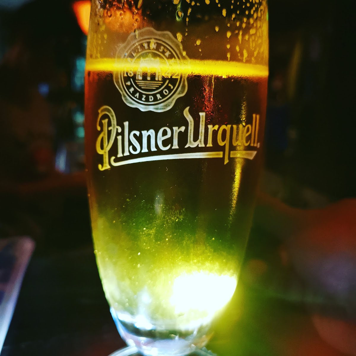Duck Bar 021 - Kafići u Novom Sadu