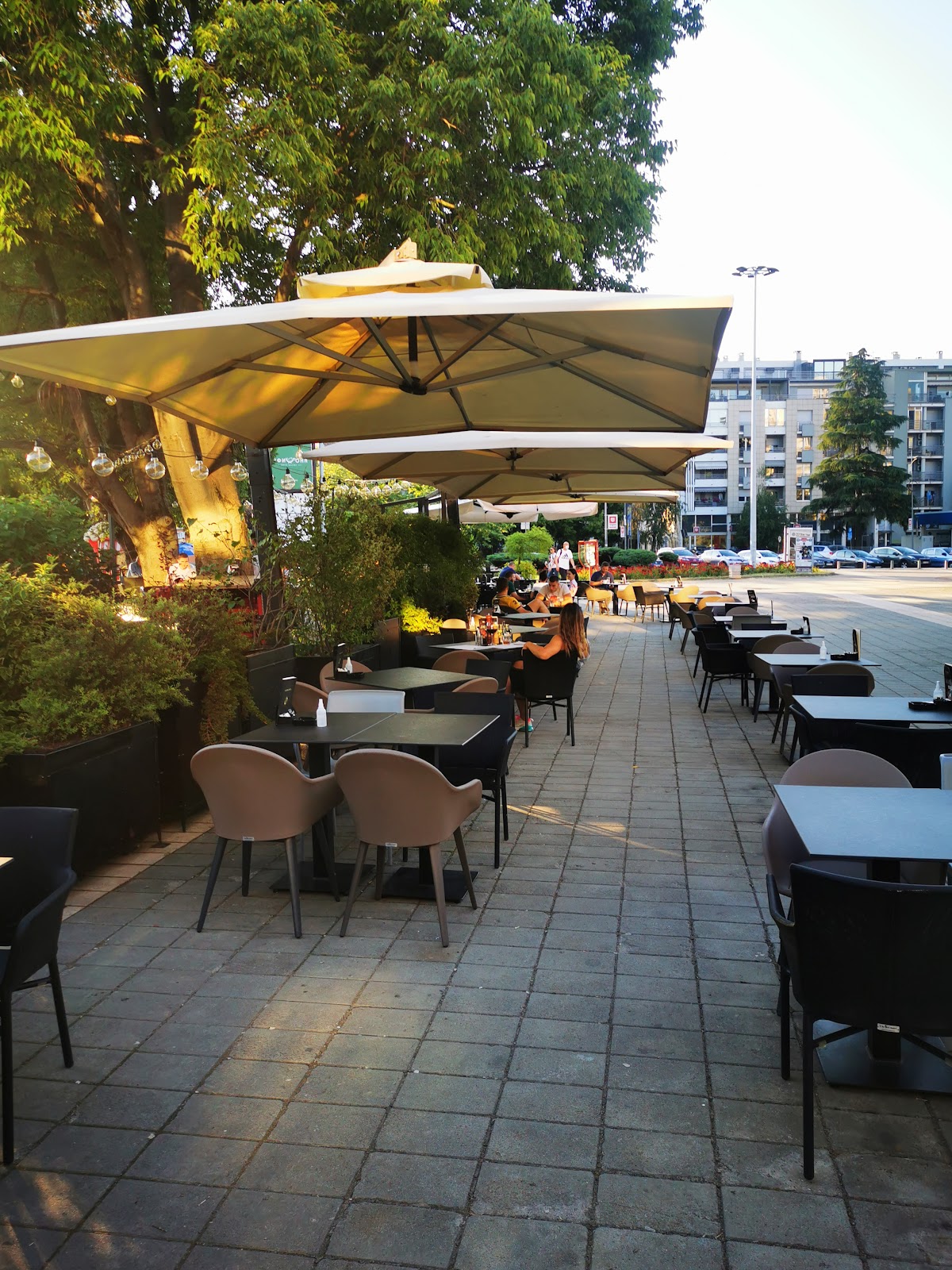 Kamelot Novi Sad - Kafići u Novom Sadu