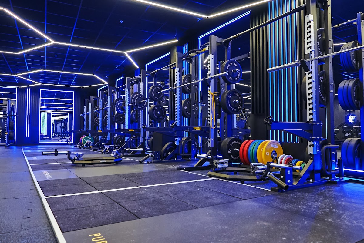 NS Fitness - Teretane u Novom Sadu