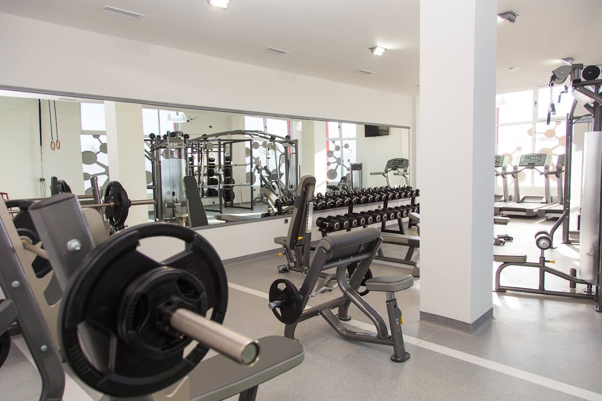 Synergy Trening Centar 1 - Teretane u Novom Sadu