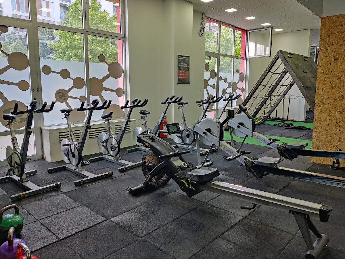 Synergy Trening Centar 1 - Teretane u Novom Sadu