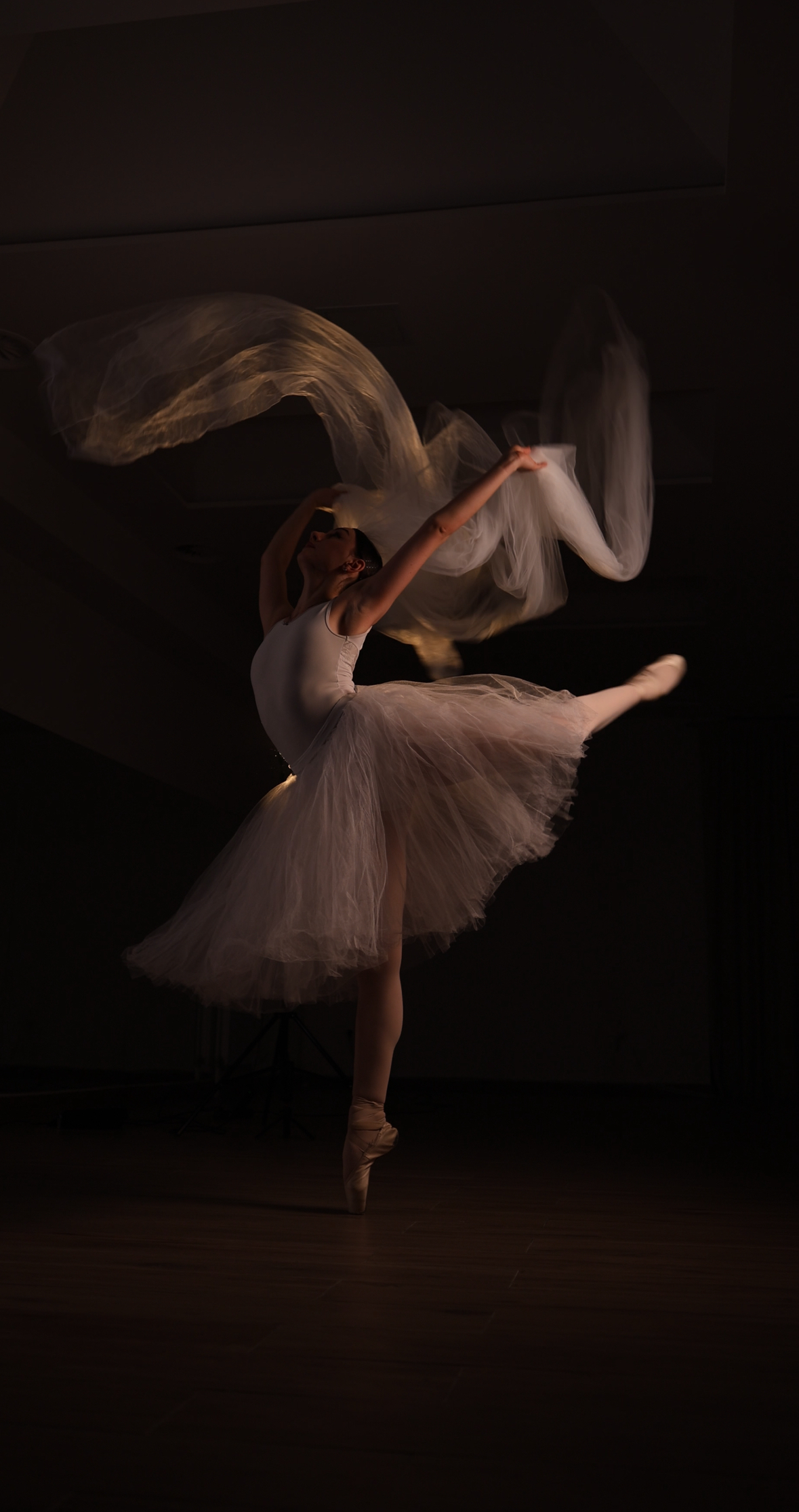 Aventy Dance & Fitness - Teretane u Novom Sadu