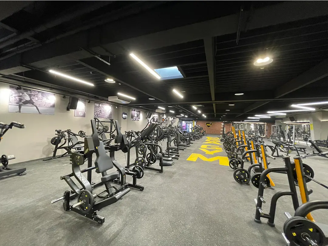 Mega Gym Novi Sad - Teretane u Novom Sadu