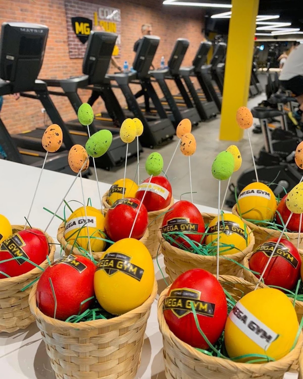 Mega Gym Novi Sad - Teretane u Novom Sadu
