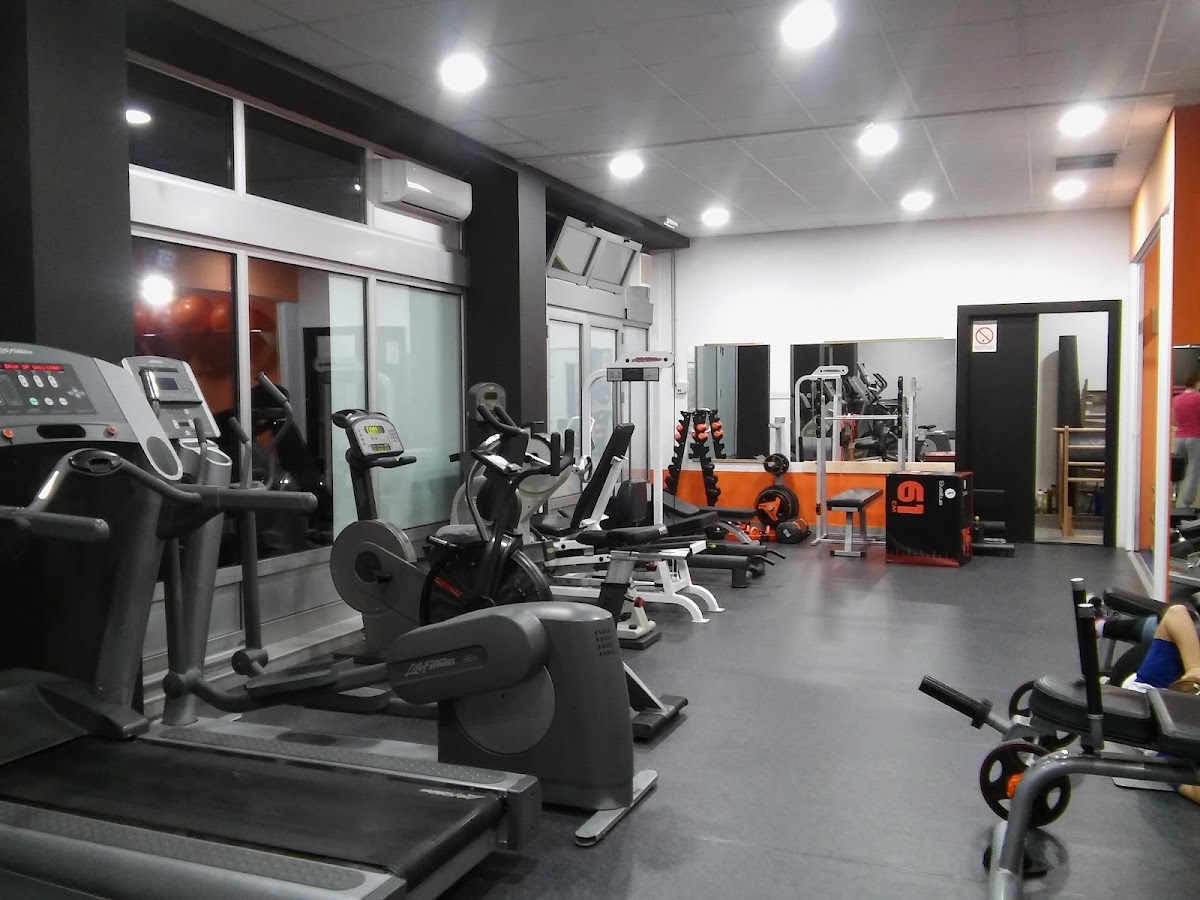 STUDIO TOP FORM - Teretane u Novom Sadu