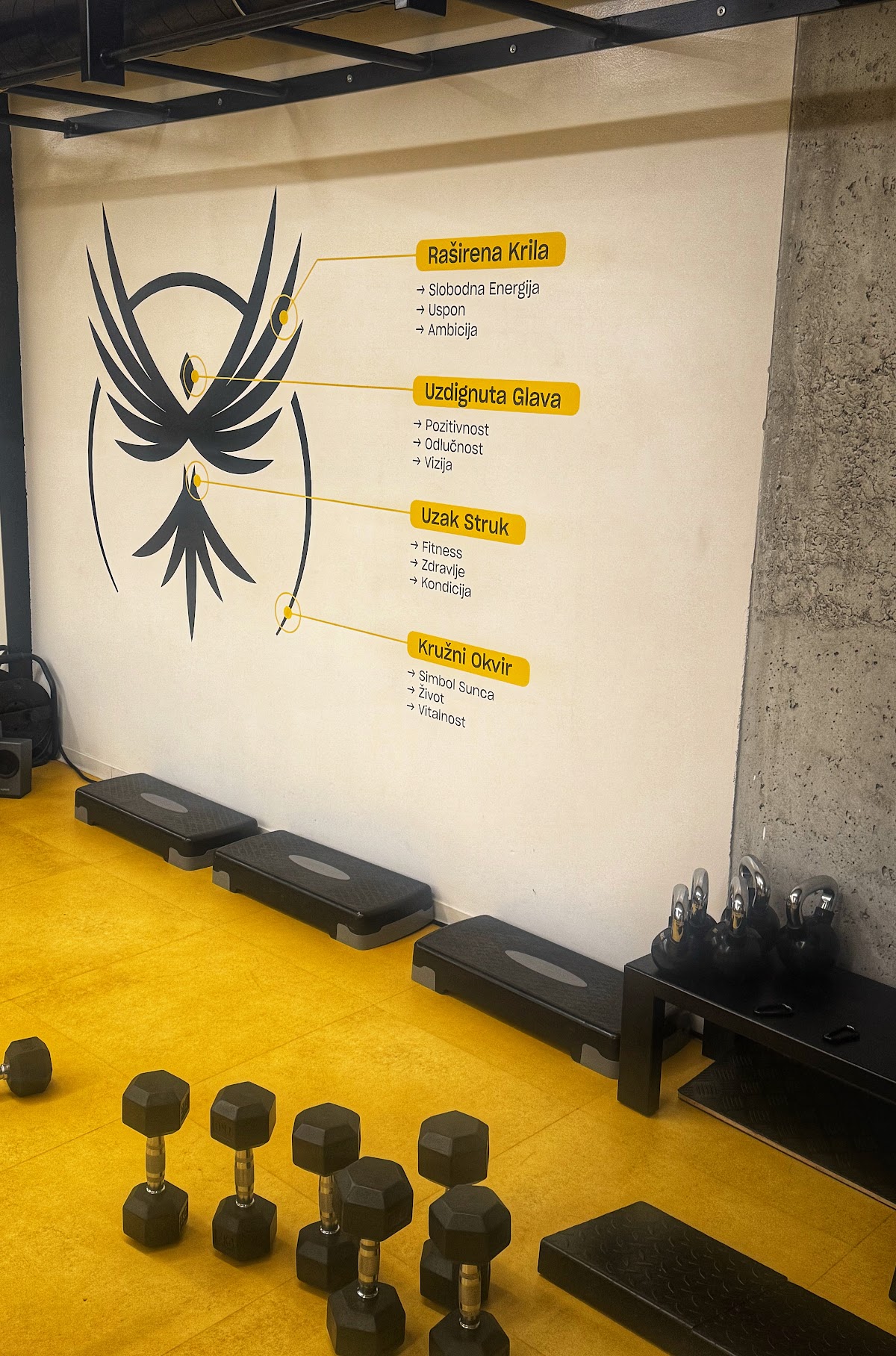 Fitness Team Libero - Teretane u Novom Sadu