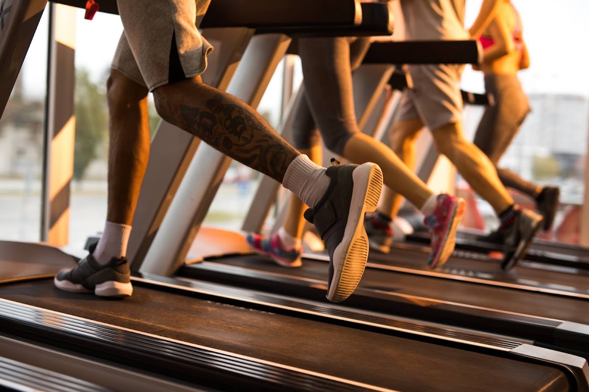 Alpha Gym - Teretane u Novom Sadu
