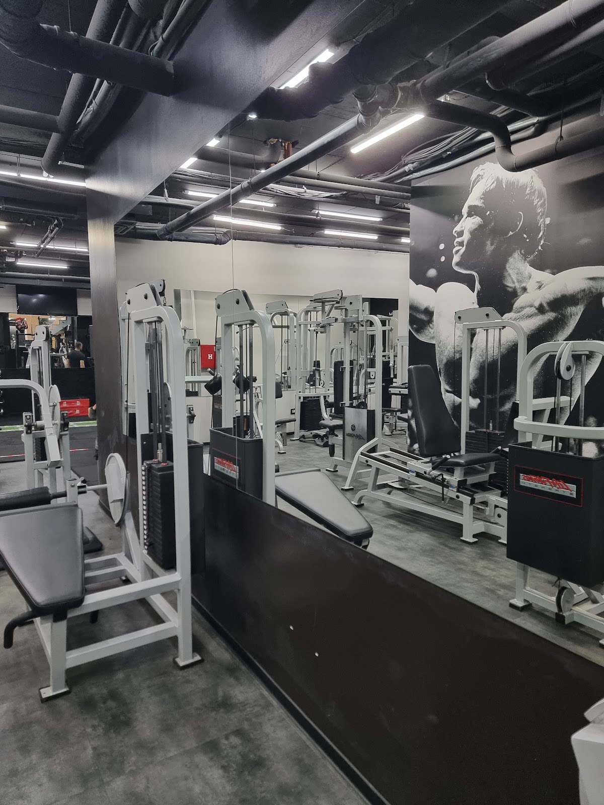 Maximus Fitness Centar - Teretane u Novom Sadu