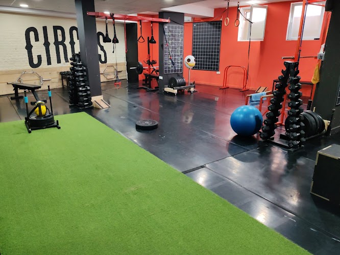 Circus Fitness - Teretane u Novom Sadu