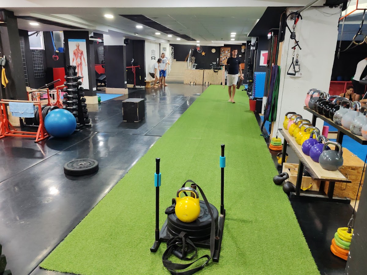 Circus Fitness - Teretane u Novom Sadu