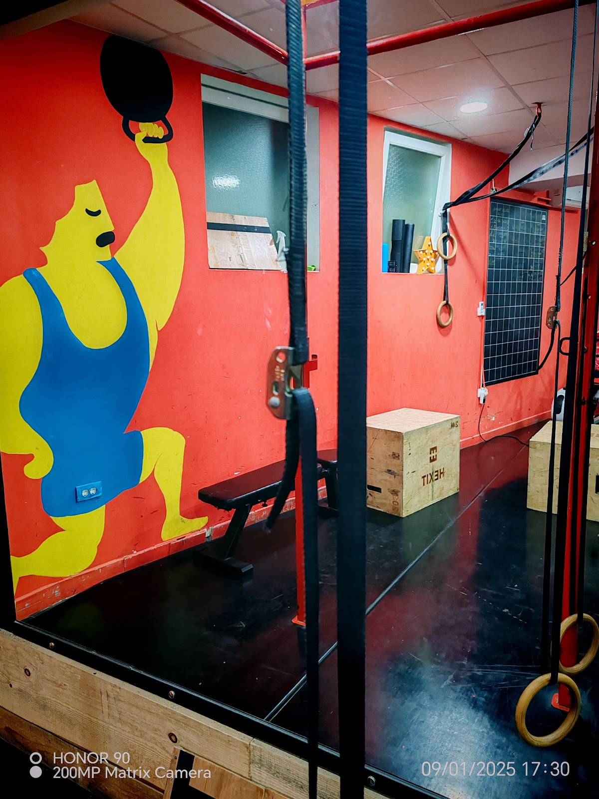 Circus Fitness - Teretane u Novom Sadu