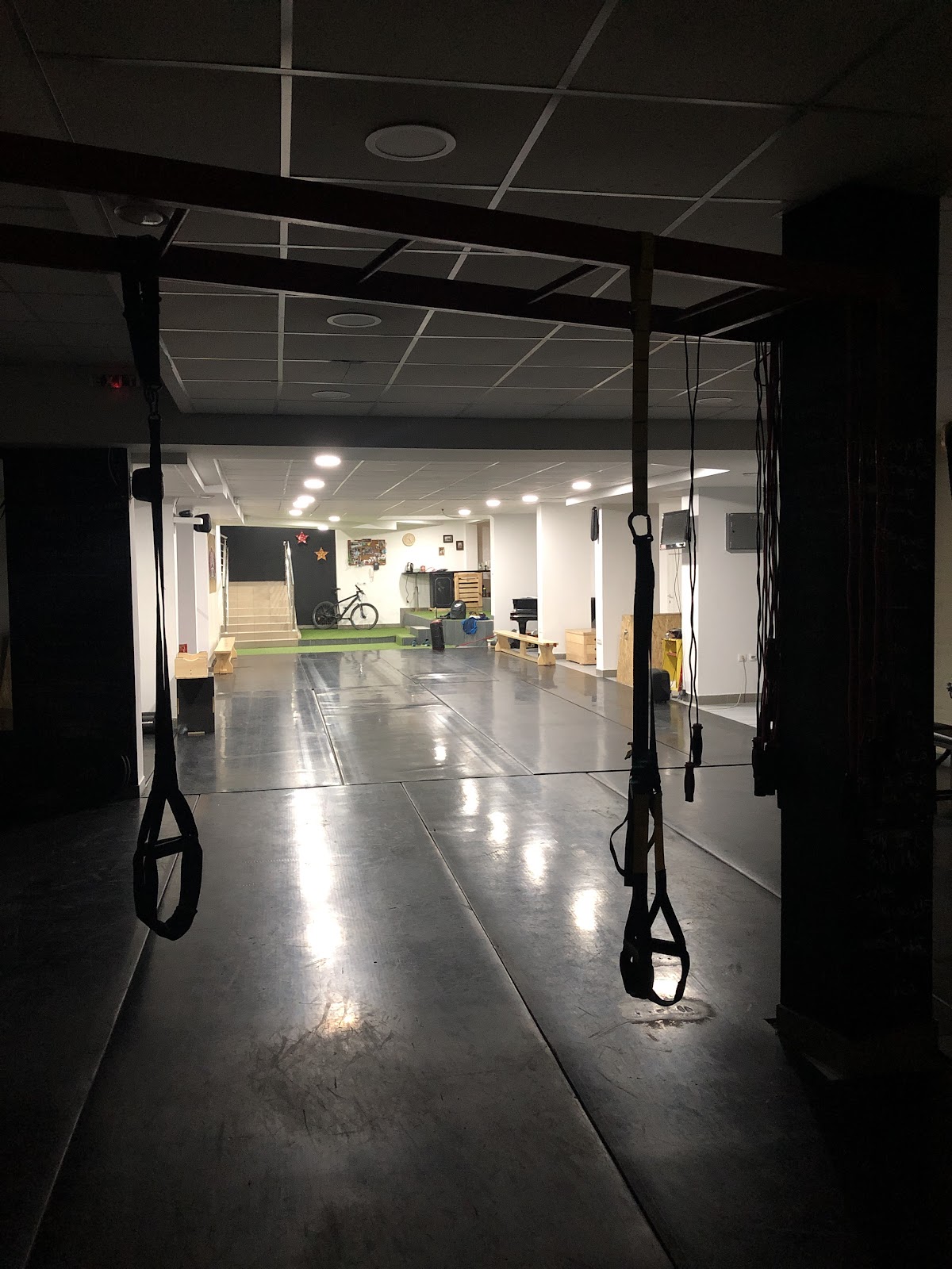 Circus Fitness - Teretane u Novom Sadu