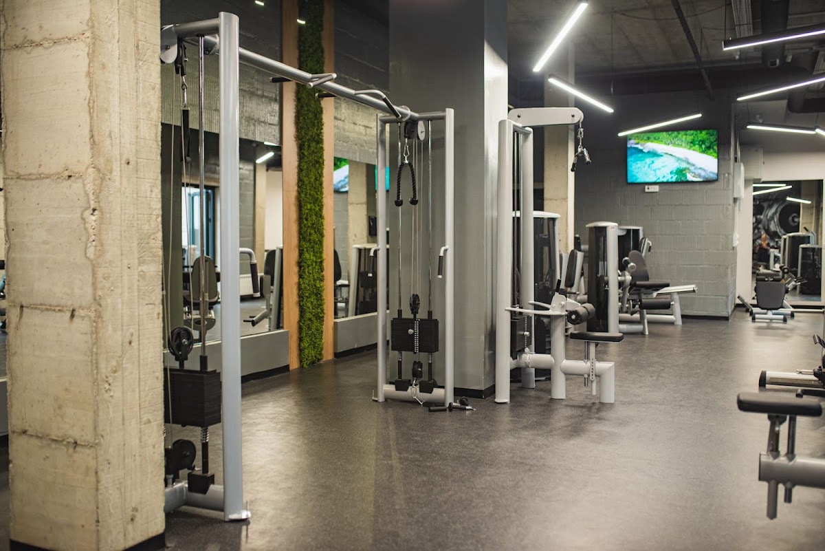 KOLOSEUM TRENING CENTAR 2 - Teretane u Novom Sadu