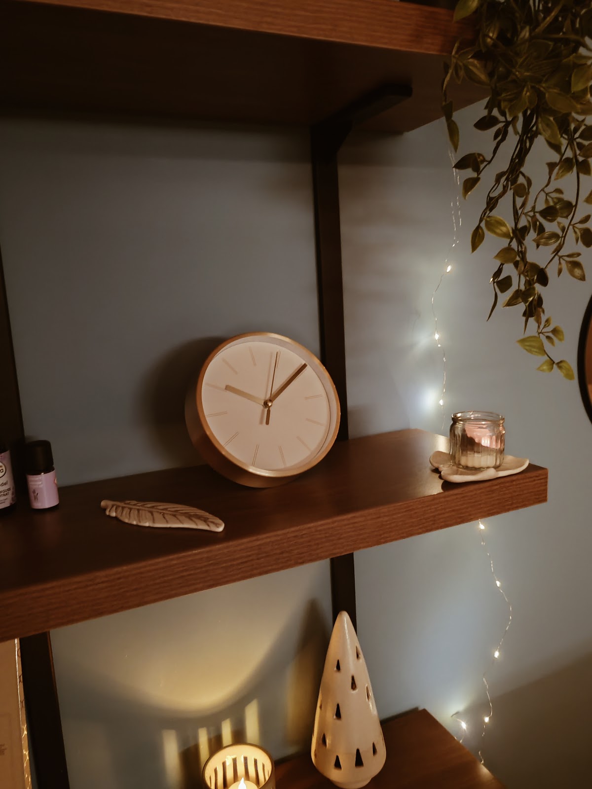 Fitspa - Teretane u Novom Sadu