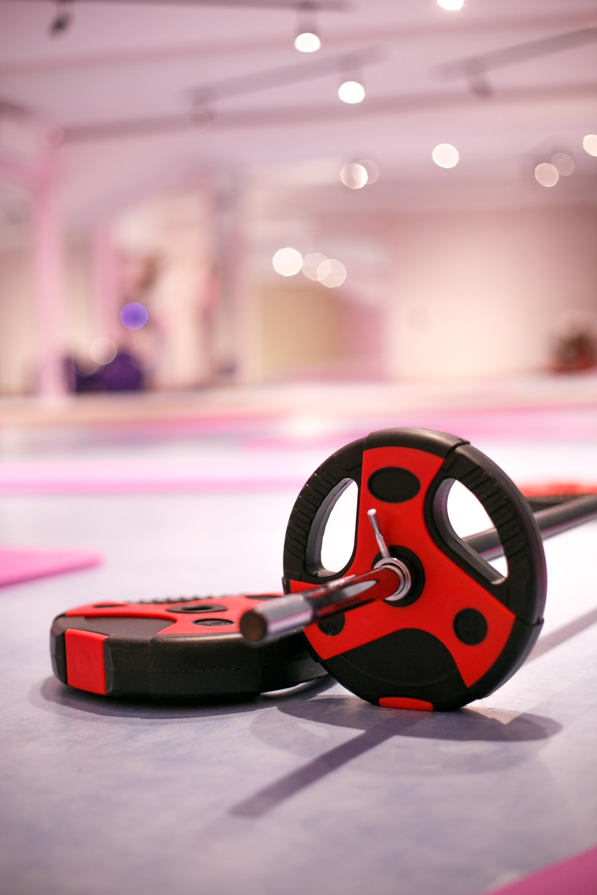 Lady's Gym grupni treninzi Novi Sad - Teretane u Novom Sadu