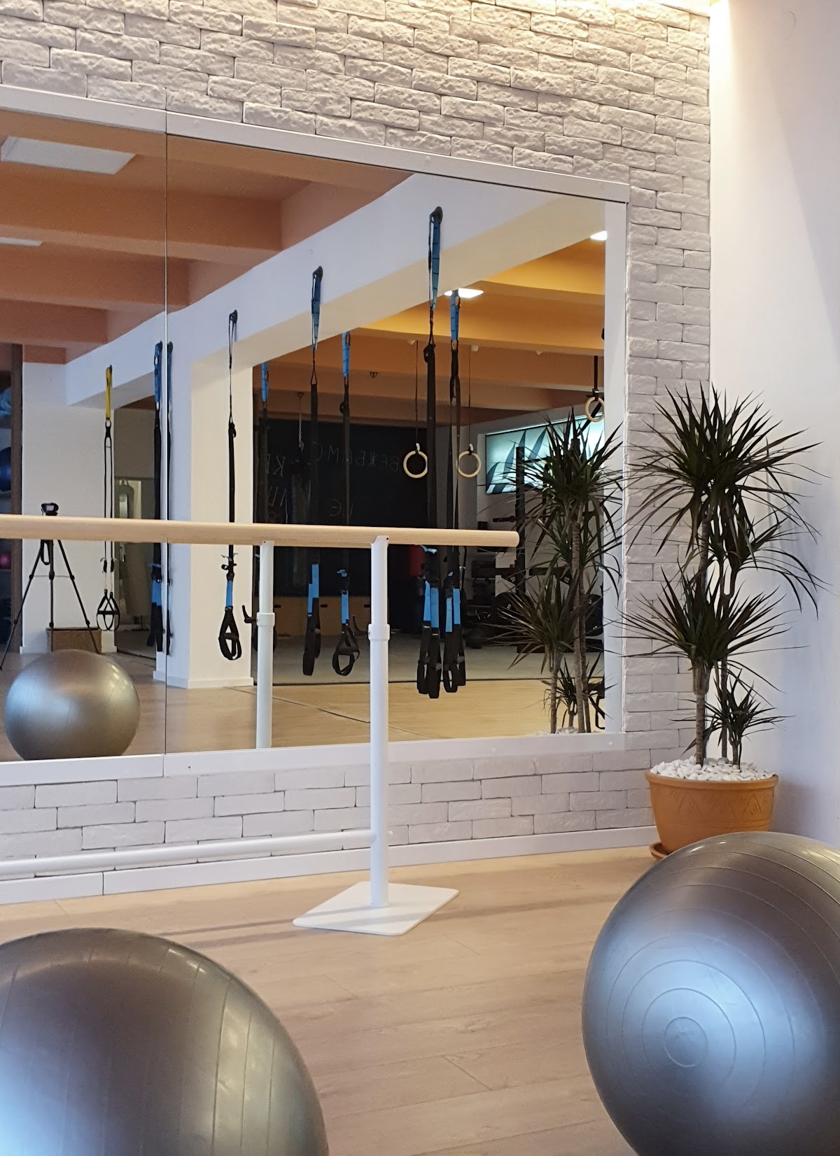 THE HOUSE Pilates, Athletic conditioning and Rehabilitation - Teretane u Novom Sadu