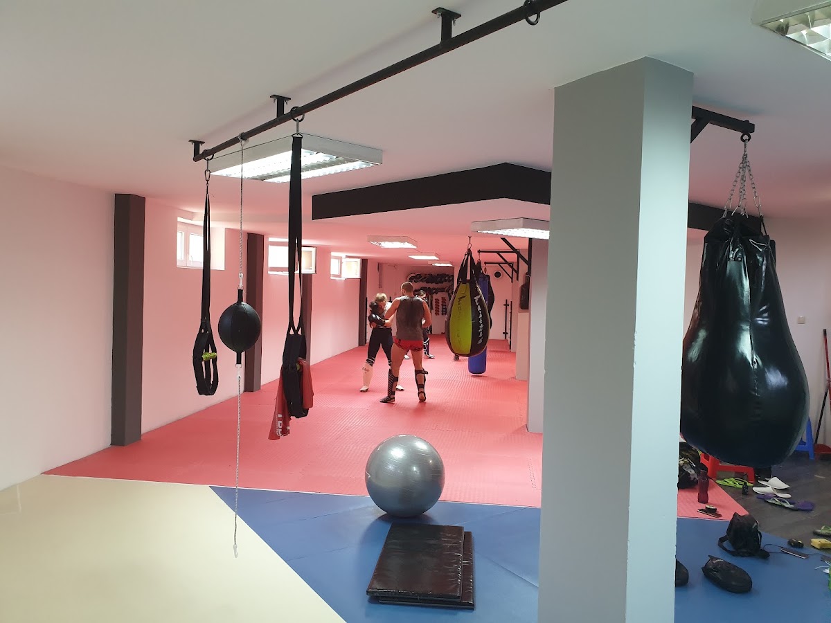 Borilacki klub Tron - Teretane u Novom Sadu