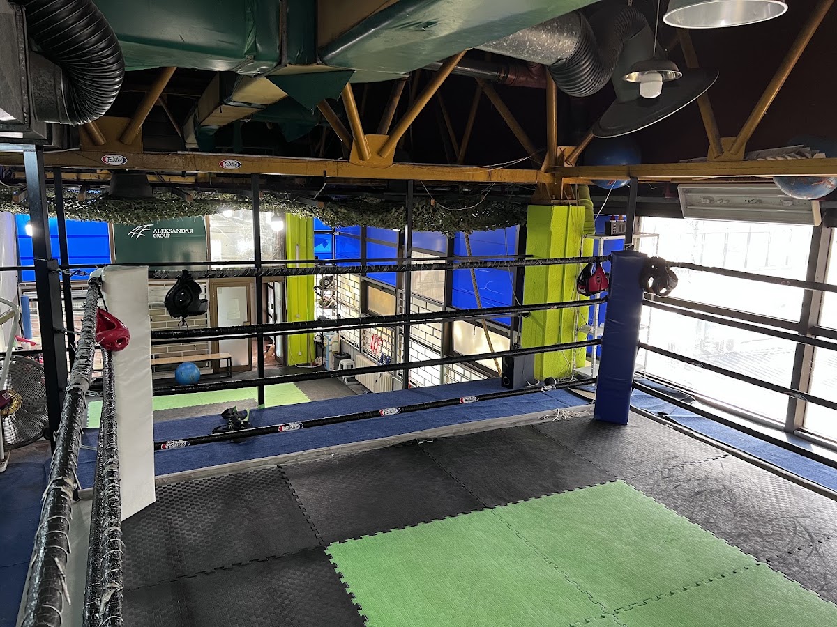 Pagonis Pro Boxing Gym - Teretane u Novom Sadu