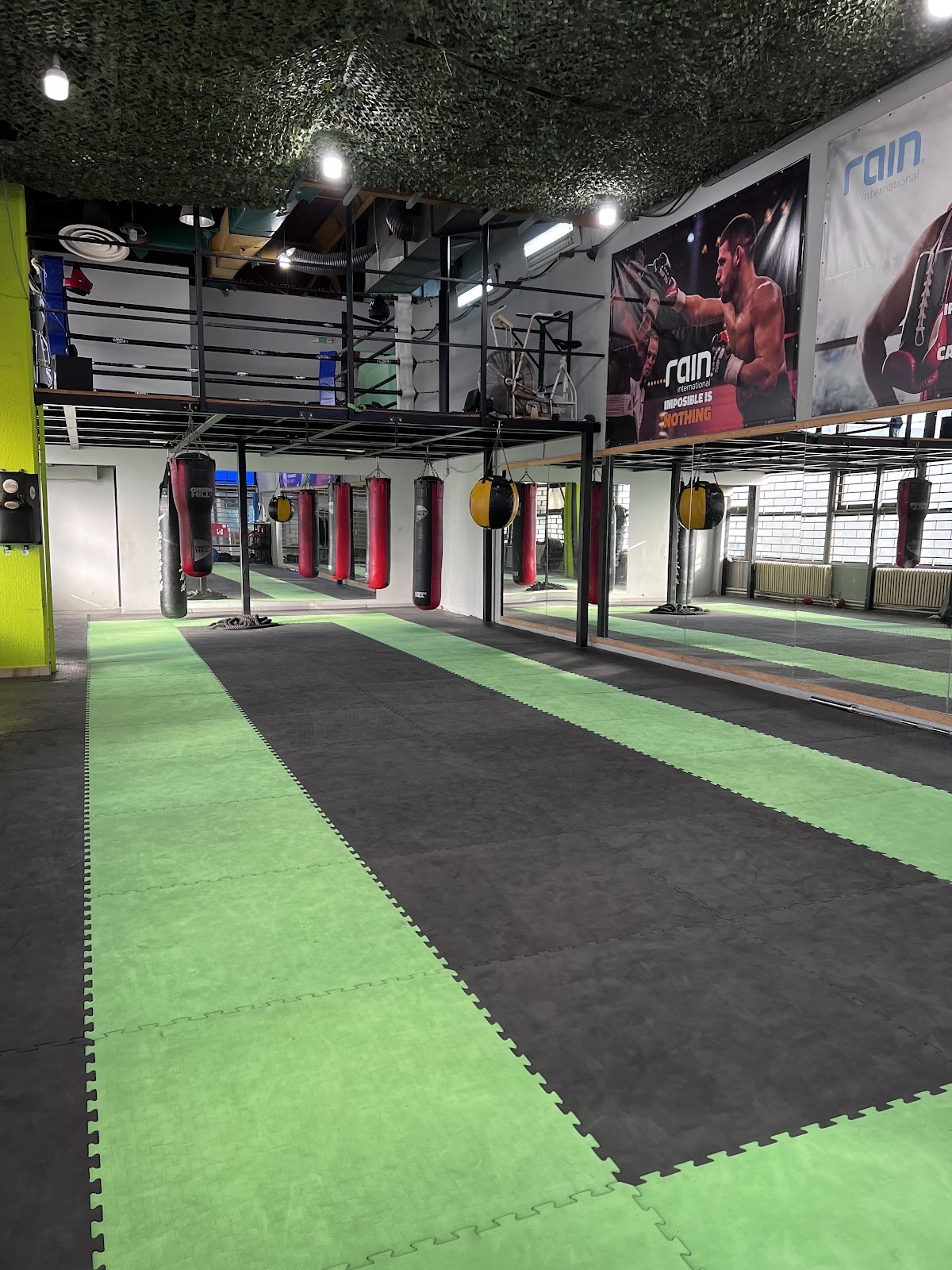 Pagonis Pro Boxing Gym - Teretane u Novom Sadu