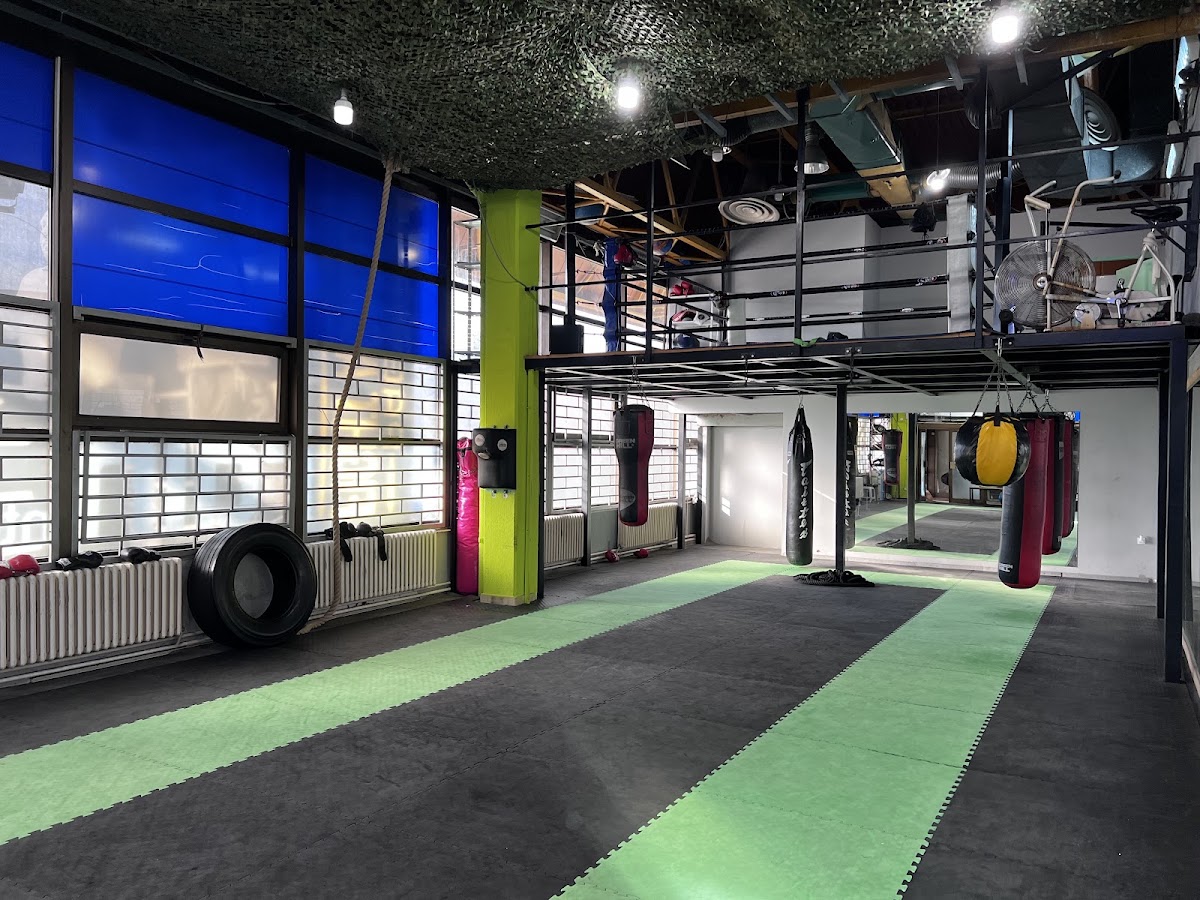 Pagonis Pro Boxing Gym - Teretane u Novom Sadu