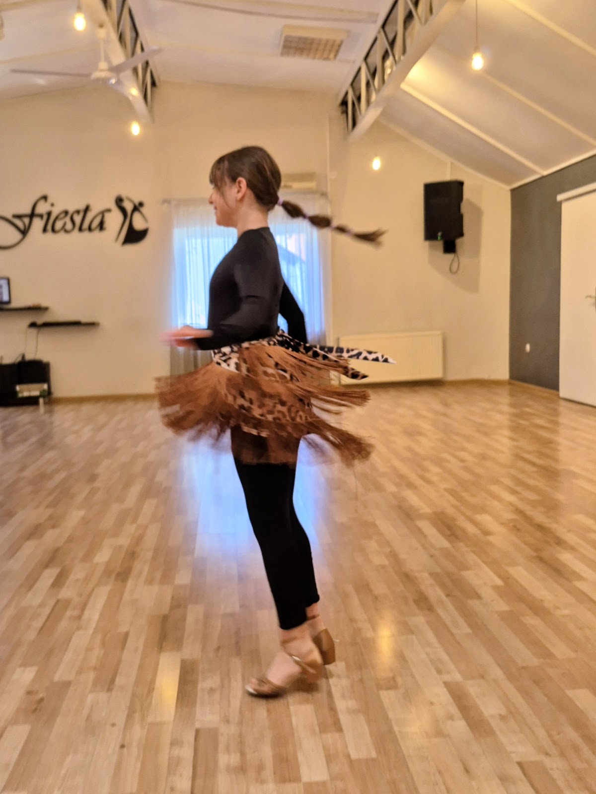 Plesni klub Fiesta - Teretane u Novom Sadu