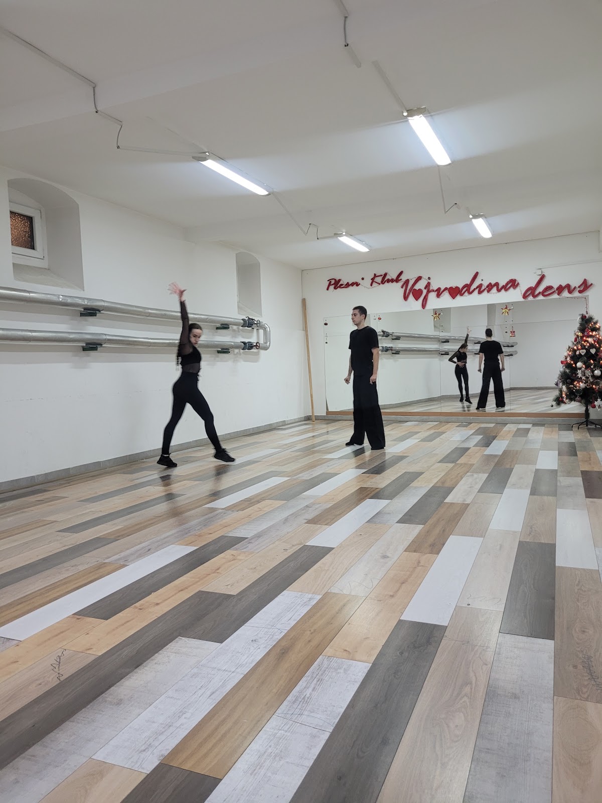 Plesni Klub VOJVODINA DENS Novi Sad - Teretane u Novom Sadu