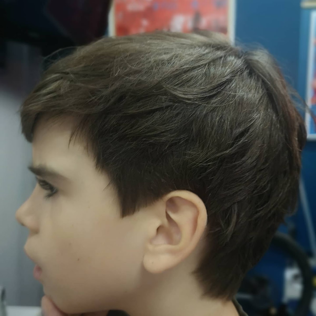 Barber Shop ThE BLaDe (Sečivo) Berbernica Sečivo - Usluge u Novom Sadu