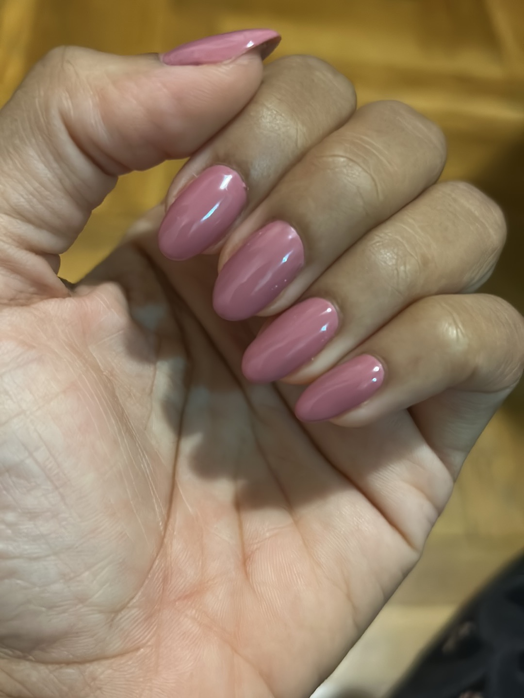 Nails House Novi Sad - Usluge u Novom Sadu