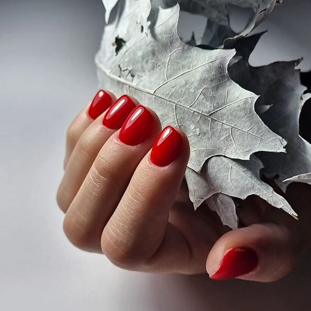 Nokti Novi Sad, Manikir, Pedikir - Crown Nails & Academy - Usluge u Novom Sadu