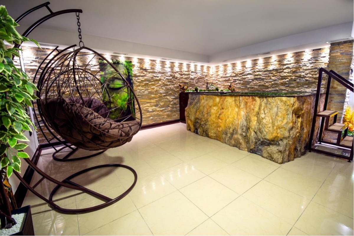 Scolio Spa & Wellness - Usluge u Novom Sadu