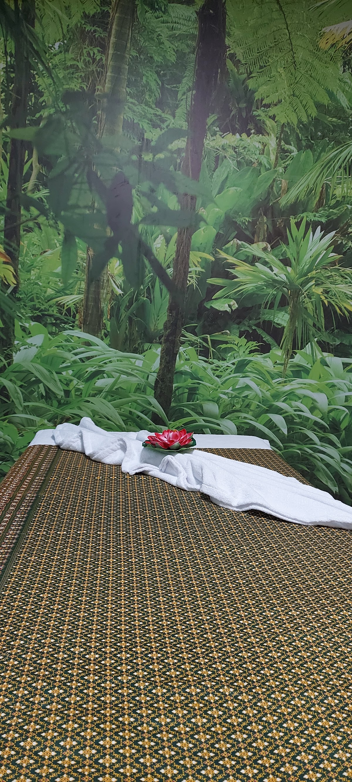Nice Place Thai Massage - Usluge u Novom Sadu