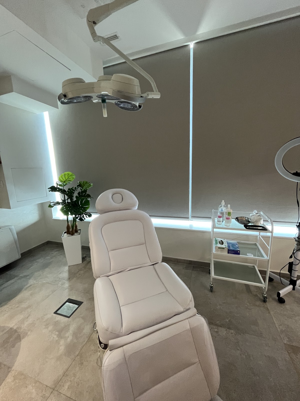 Brana Estetic & Derma - Usluge u Novom Sadu