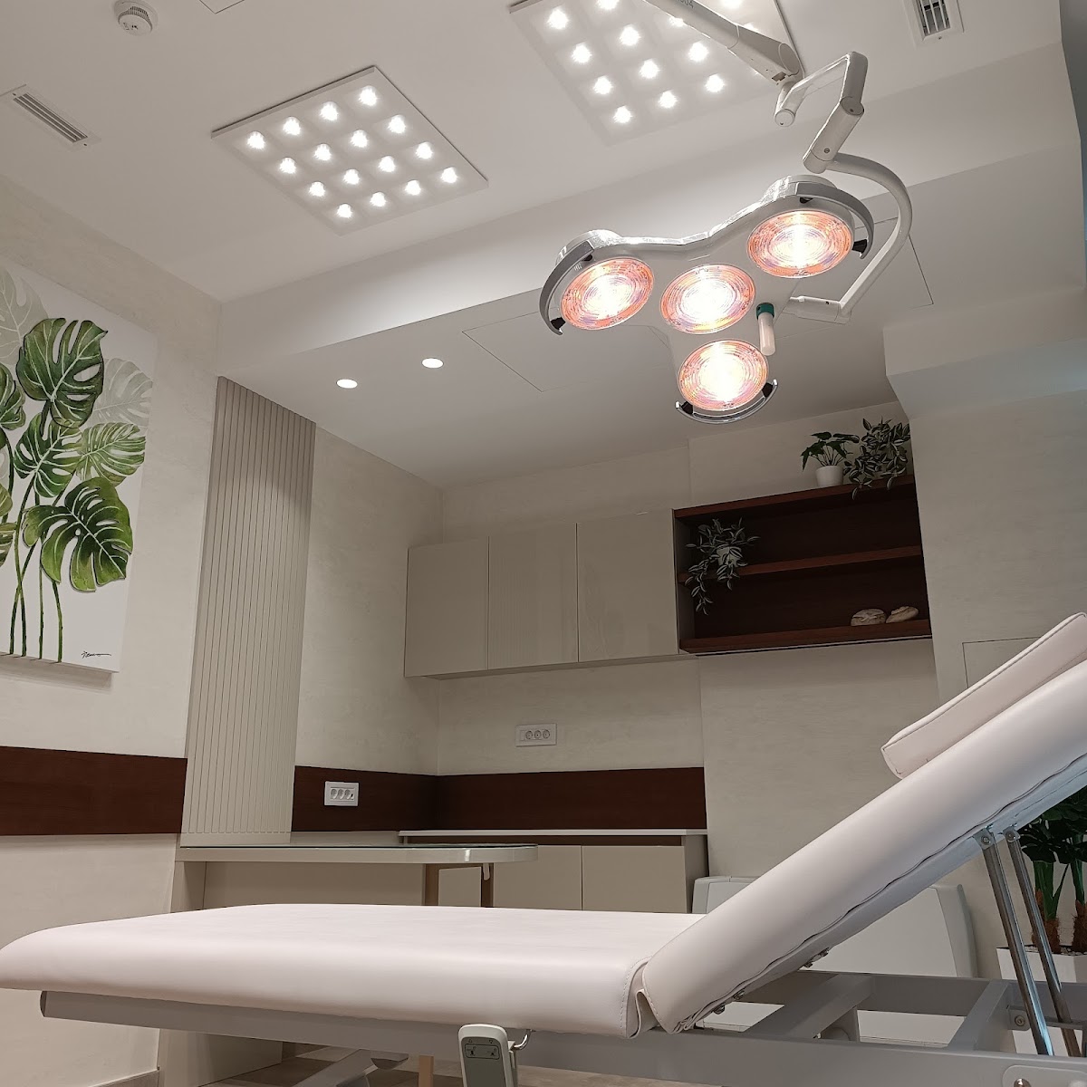 Brana Estetic & Derma - Usluge u Novom Sadu
