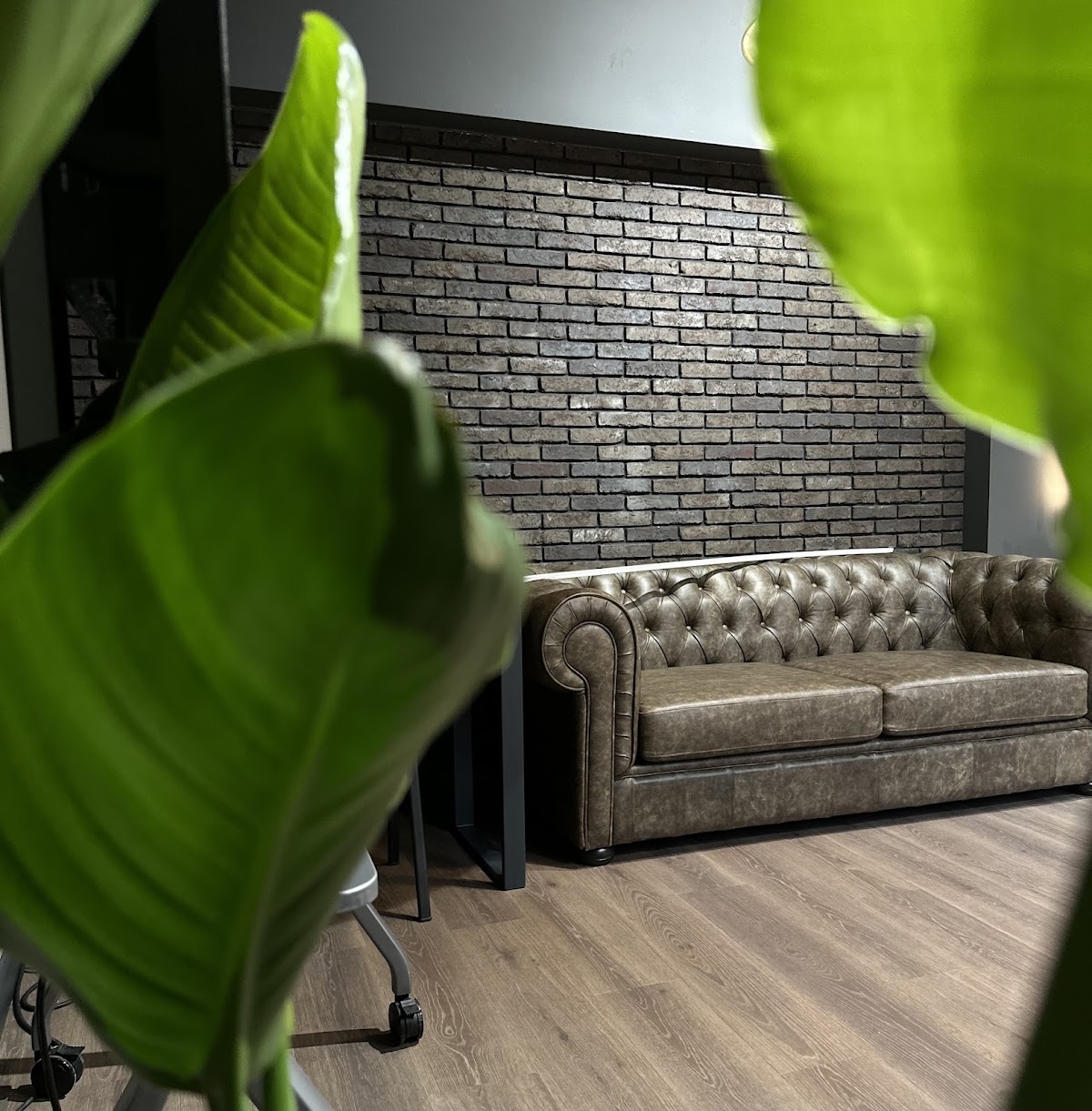 Inked Planet - Tattoo Centar (Daničićeva 3) - Usluge u Novom Sadu