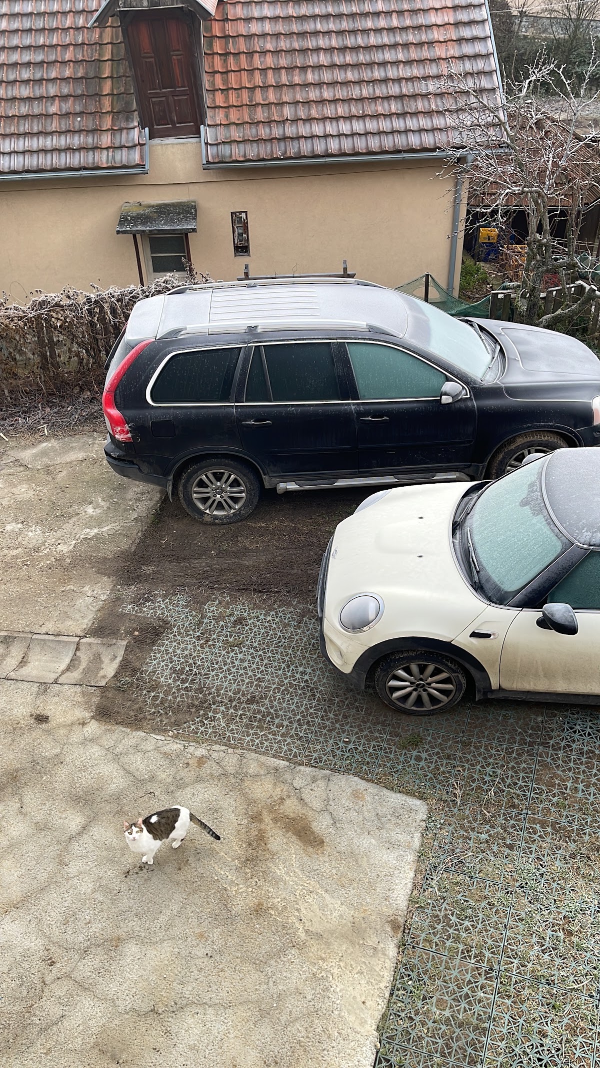 CAR-EX - Auto u Novom Sadu