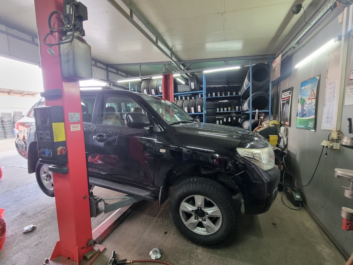 Subex - Auto u Novom Sadu