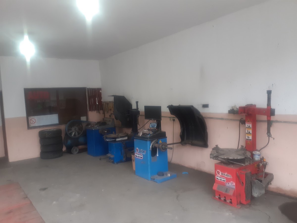 VULKANIZER MISTER CAR VRBI - Auto u Novom Sadu
