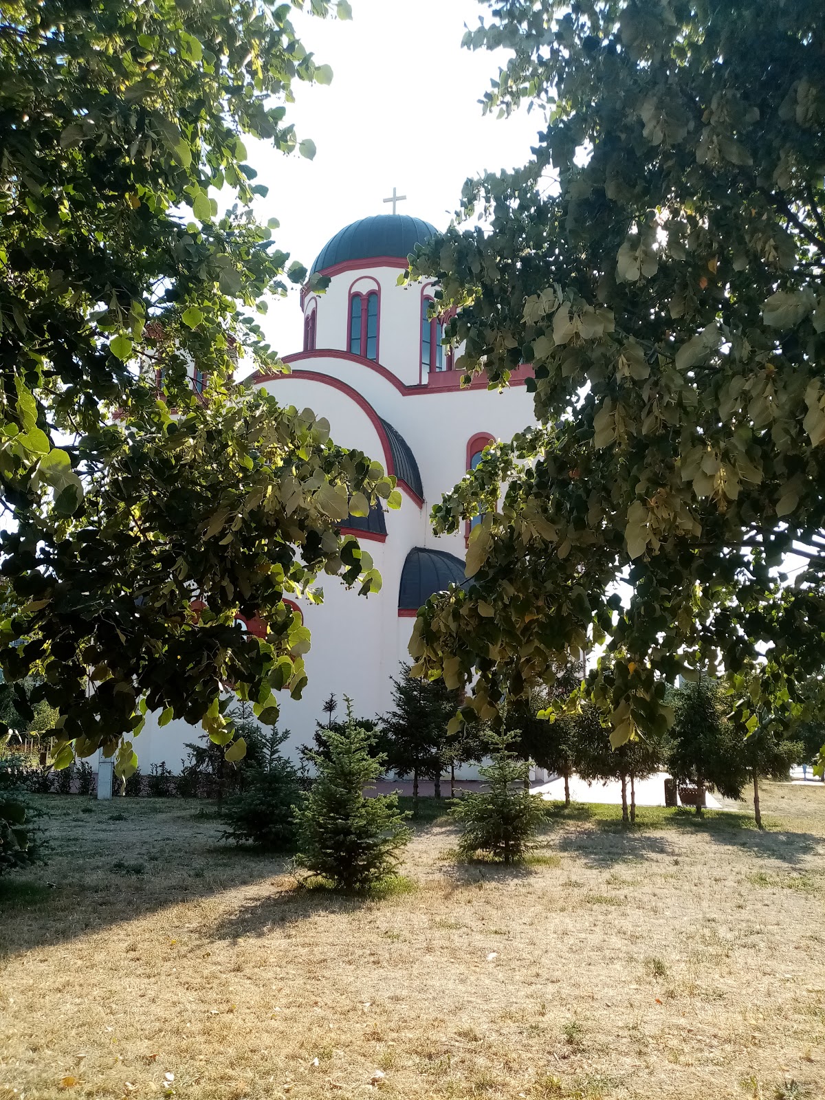 Dr Milićević - Zdravlje u Novom Sadu