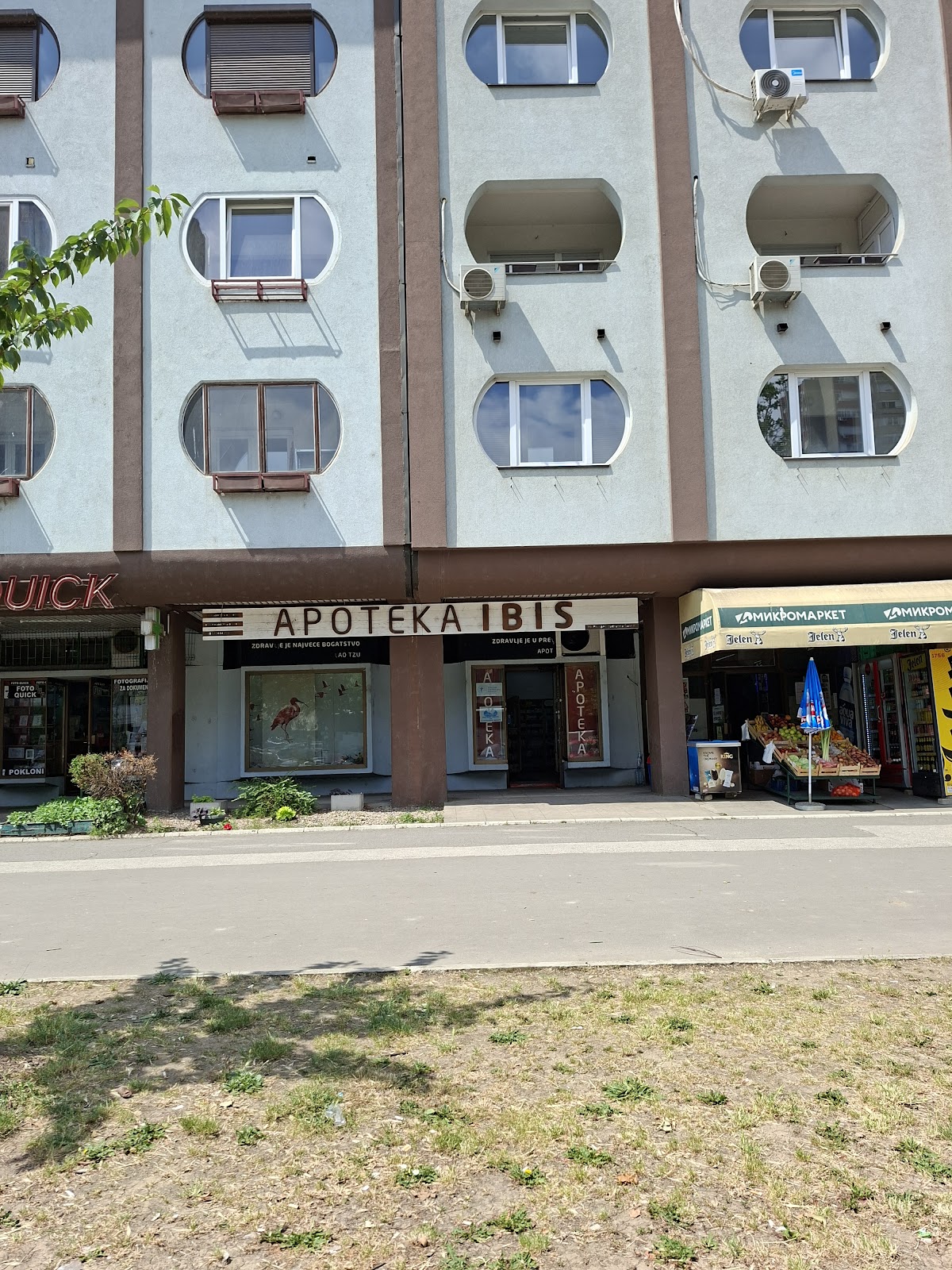 Ibis - Zdravlje u Novom Sadu