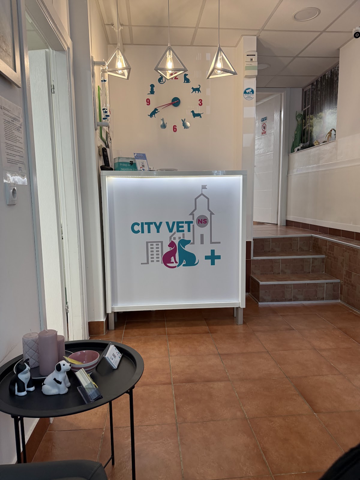 City vet NS - Veterinarska ordinacija - Zdravlje u Novom Sadu