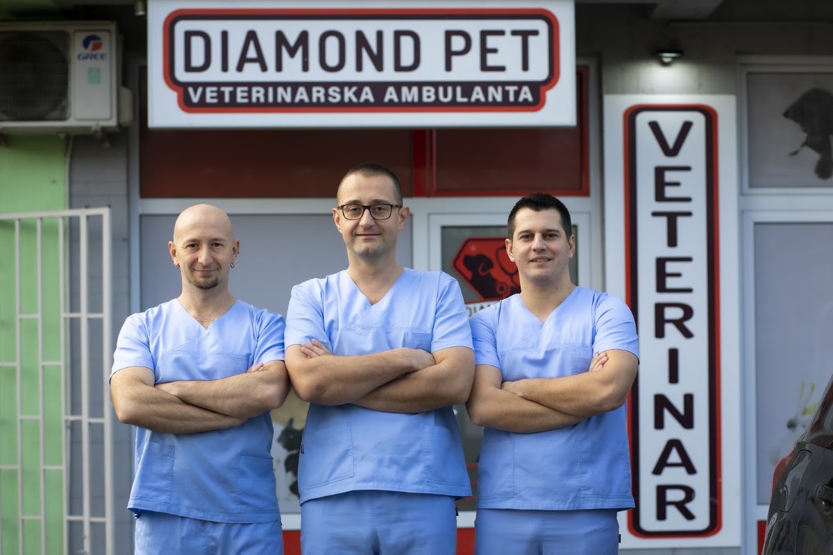 Veterinarska ambulanta Diamond pet - Zdravlje u Novom Sadu