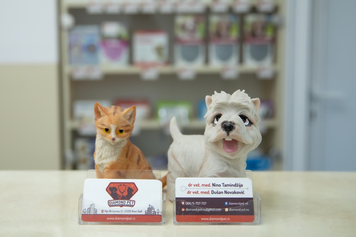 Veterinarska ambulanta Diamond pet - Zdravlje u Novom Sadu